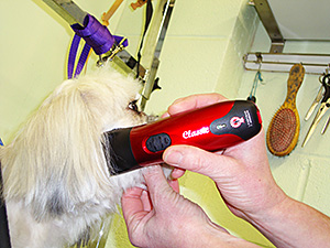 Quiet, comfortable trimmers for grooming companion animals